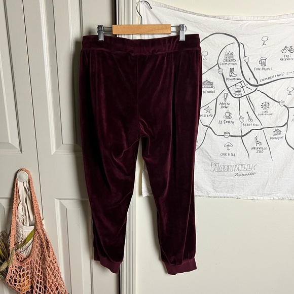Sanctuary | Velour Jogger Pants | Red large - Picture 8 of 11